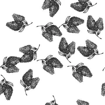 Seamless pattern drawing lilac sketch hand drawn Stock Illustration