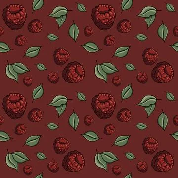 Seamless pattern with drawn elements, raspberries, green leaves, background Stock Illustration