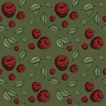 Seamless pattern with drawn elements, raspberries, green leaves, background Stock Illustration