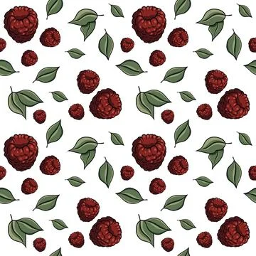 Seamless pattern with drawn elements, raspberries, green leaves, background Stock Illustration