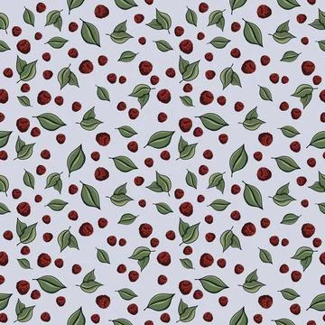 Seamless pattern with drawn elements, raspberries, green leaves, background Stock Illustration