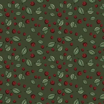 Seamless pattern with drawn elements, raspberries, green leaves, background Stock Illustration