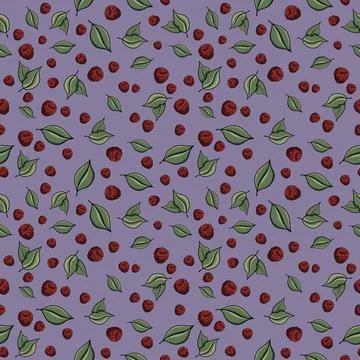 Seamless pattern with drawn elements, raspberries, green leaves, background Stock Illustration