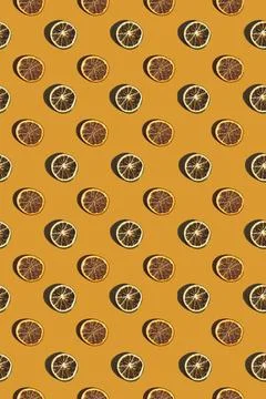 Seamless pattern with dried citrus slices Stock Photos