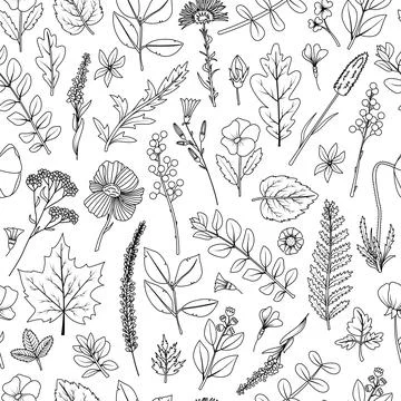 A seamless pattern of dried leaves and flowers for the herbarium. Illustrazione stock