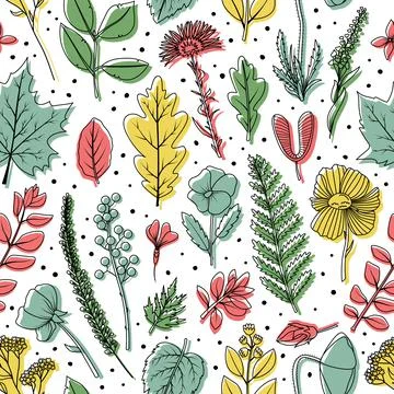 A seamless pattern of dried leaves and flowers for the herbarium. Illustrazione stock