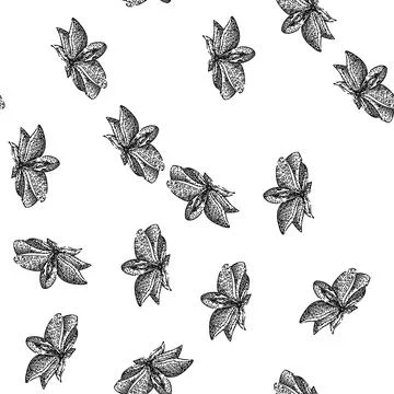 Seamless pattern dry anise star sketch hand drawn Stock Illustration