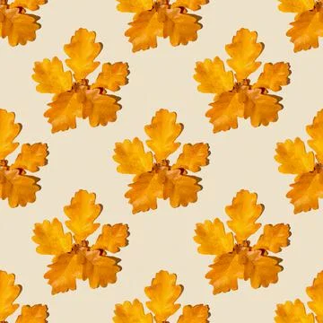 Seamless pattern of dry autumn maple leaves on a light orange background. Aut Stock Photos