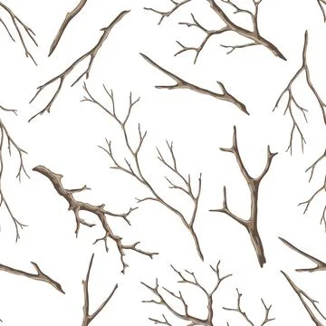 Seamless pattern with dry bare branches. Decorative natural twigs. Stock Illustration