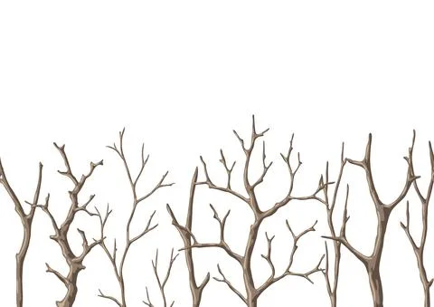 Seamless pattern with dry bare branches. Decorative natural twigs. Stock Illustration