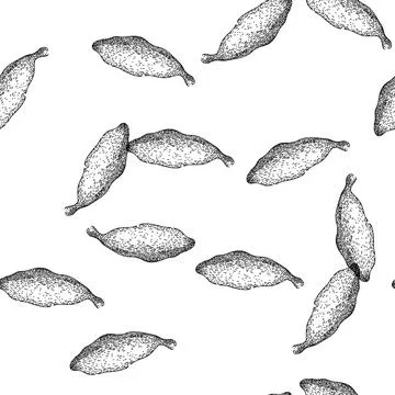 Seamless pattern dry cardamom sketch hand drawn Ilustración de archivo