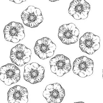 Seamless pattern dry head of garlic sketch hand drawn Stock Illustration