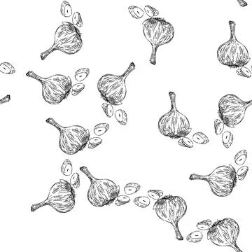 Seamless pattern dry head of garlic sketch hand drawn Stock Illustration