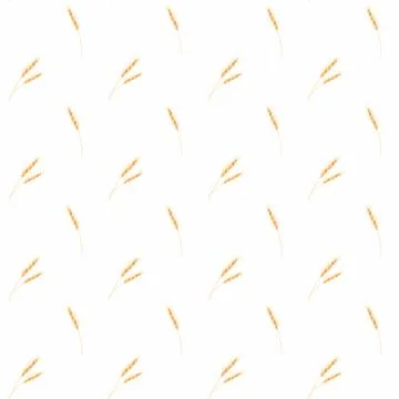 Seamless pattern of ears of wheat. elegant pattern with wheat for printing on Stock Illustration