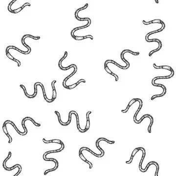 Seamless pattern earthworm worm sketch hand drawn Stock Illustration