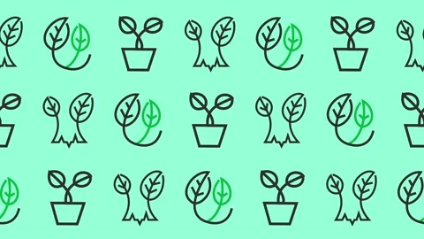 Seamless pattern with eco-friendly growth and plant line art icons Stock Footage 334679075