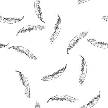 Seamless pattern ecofriendly banana leaf sketch hand drawn Stock Illustration