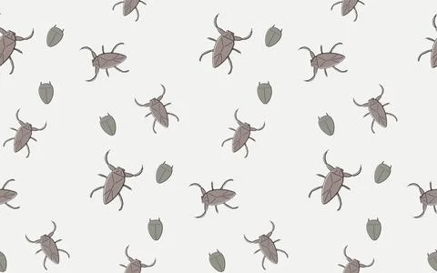 Seamless pattern of edible insects, Giant water bug and Diving beetle Illustrazione stock