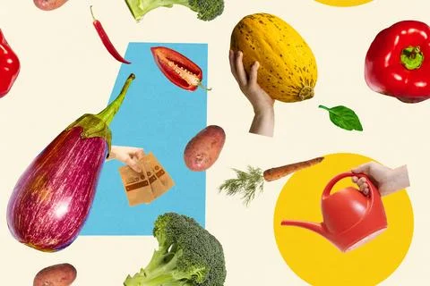 Seamless pattern with eggplants, carrots, seed packets, watering cans, and Stock Photos