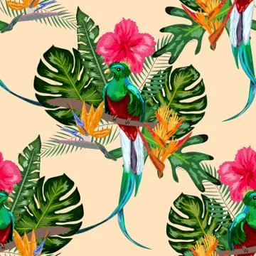 Seamless pattern of endangered species of birds Magnificent resplendent quetz Stock Illustration