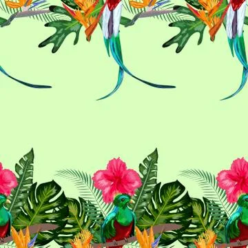 Seamless pattern of endangered species of birds Magnificent resplendent quetz Stock Illustration