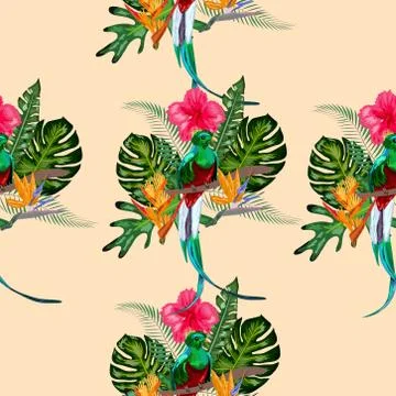 Seamless pattern of endangered species of birds Magnificent resplendent quetz Stock Illustration