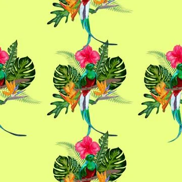 Seamless pattern of endangered species of birds Magnificent resplendent quetz Stock Illustration