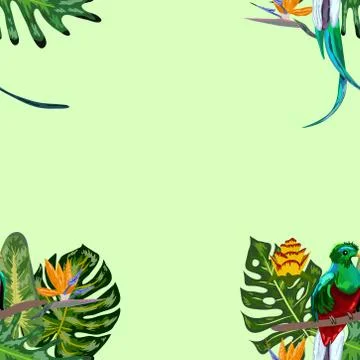Seamless pattern of endangered species of birds Magnificent resplendent quetz Stock Illustration