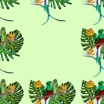 Seamless pattern of endangered species of birds Magnificent resplendent quetz Stock Illustration