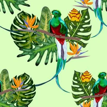Seamless pattern of endangered species of birds Magnificent resplendent quetz Stock Illustration