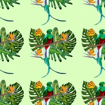 Seamless pattern of endangered species of birds Magnificent resplendent quetz Stock Illustration