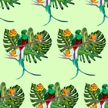 Seamless pattern of endangered species of birds Magnificent resplendent quetz Stock Illustration