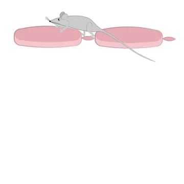 Seamless pattern, endless texture on a square background - stylized mice or r Stock Illustration