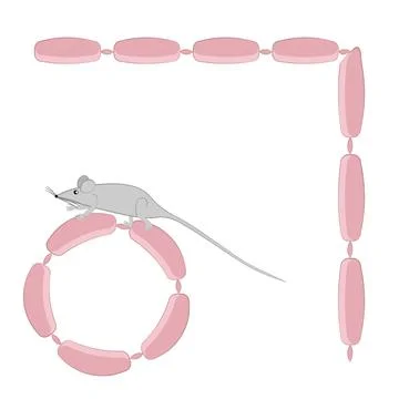 Seamless pattern, endless texture on a square background - stylized mice or r Stock Illustration