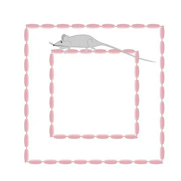 Seamless pattern, endless texture on a square background - stylized mice or r Stock Illustration