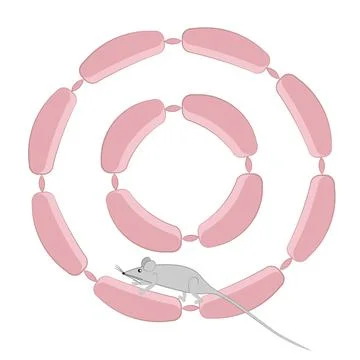 Seamless pattern, endless texture on a square background - stylized mice or r 스톡 일러스트