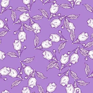 Seamless pattern engraved lemon on branch with leaves. Vintage background lim Stock Illustration