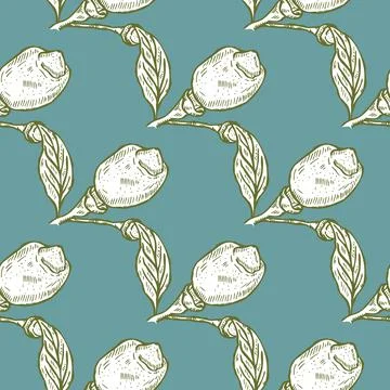 Seamless pattern engraved lemon on branch with leaves. Vintage background lim Stock Illustration