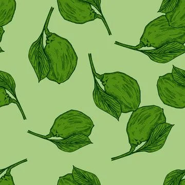 Seamless pattern engraved lemon on branch with leaves. Vintage background lim Stock Illustration