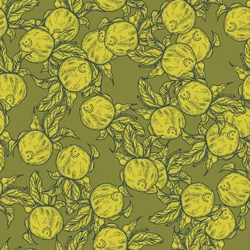 Seamless pattern engraved lemon on twig with leaves. Vintage background citru Stock Illustration