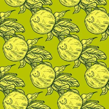 Seamless pattern engraved lemon on twig with leaves. Vintage background citru Illustrazione stock