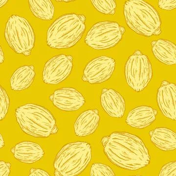 Seamless pattern engraved lemons. Vintage background citrus fruit in hand dra Stock Illustration