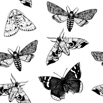 Seamless pattern with engraved moths and butterflies in realistic victorian.. Illustrazione stock