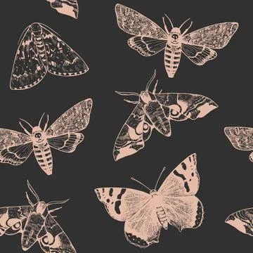Seamless pattern with engraved moths and butterflies in realistic victorian.. 스톡 일러스트