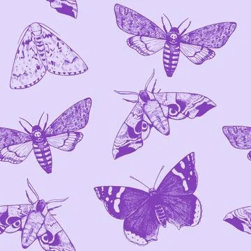 Seamless pattern with engraved moths and butterflies in realistic victorian.. Illustrazione stock