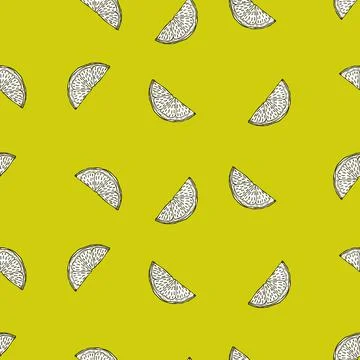 Seamless pattern engraved slice lemon. Vintage background piece lemon or lime Stock Illustration