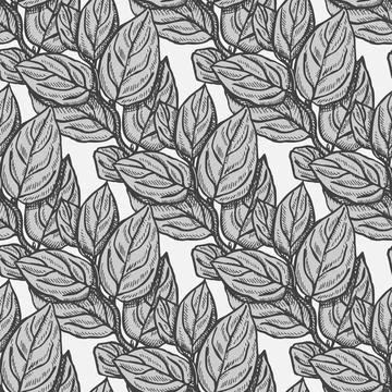 Seamless pattern engraved tree branches. Vintage background summer twigs in h Stock Illustration