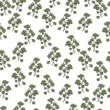 Seamless pattern engraved tree branches. Vintage background summer twigs in h Stock Illustration