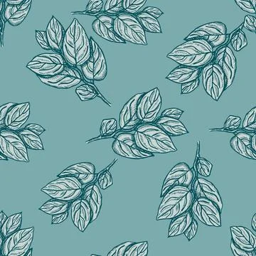 Seamless pattern engraved tree branches. Vintage background summer twigs in h Stock Illustration