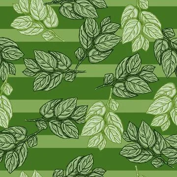 Seamless pattern engraved tree branches. Vintage background summer twigs in h 스톡 일러스트